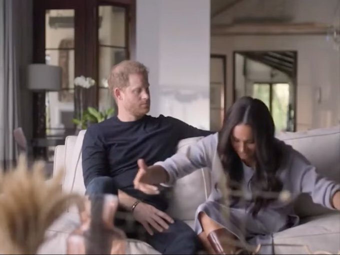 I seem to recall the video titled  #FreedomFlight  Harry and Megsy #Megxit produced and made public, along with SO MUCH more, on Netflix. The biggest threat #HarryandMeghan face is themselves. No one else cares. You're both liars and such a joke! 🤥🤡🤡 
#HarryandMeghanAreAJoke