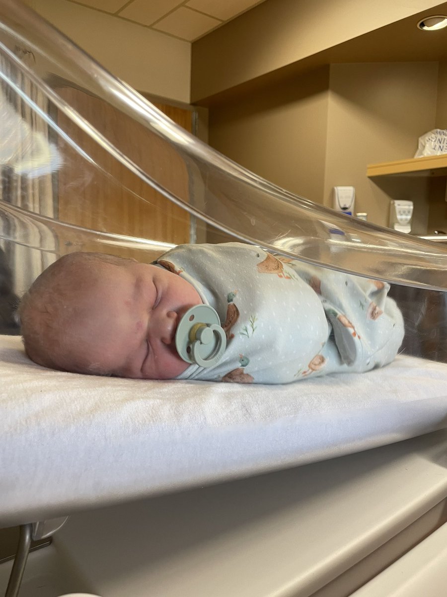 Michaela tweet media