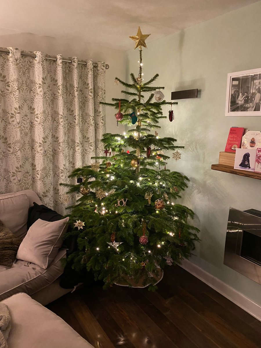 Winner of the <a href="/GrowMeTrees/">@GrowMeTrees</a> prize from our hill climb earlier this year picking up his tree. 

If you need a tree, you can pick your own directly from the field on Whitelow Lane, Dore. 

Beautiful trees, locally grown. 

#sheffield #theoutdoorcity #shoplocal