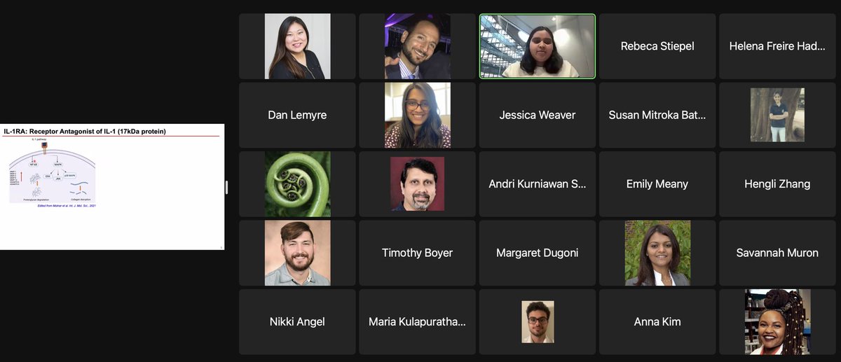 DoloffLab's tweet image. Congrats to our @SFBImmuneEng @SFBiomaterials awardees Tanvi Pathrikar @BajpayeeLab, @HFreireHaddad @LabCollier, and Rebeca Stiepel @AinslieLab! Amazing Webinar talks yesterday! (also to Sehwan Jeong who could not make it). 
Thanks also to our SFB/IE community for your support!