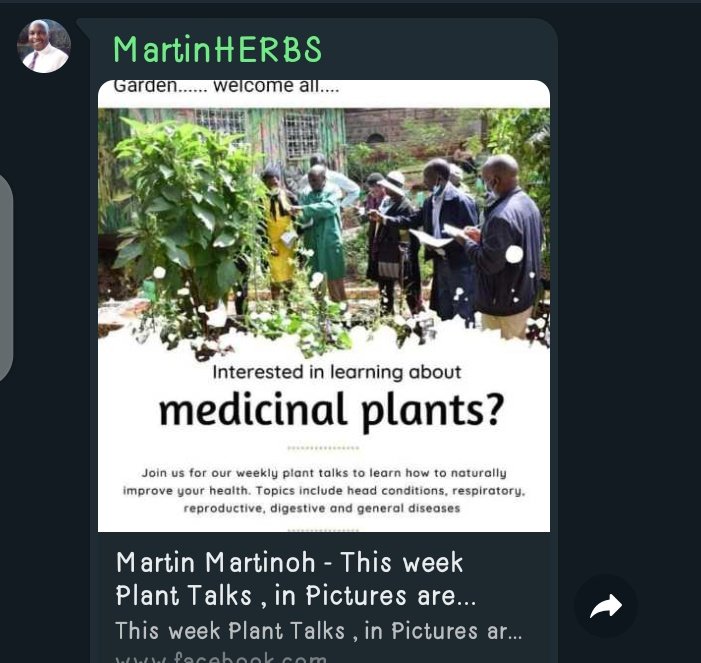 Sheeroh Murega tweet media