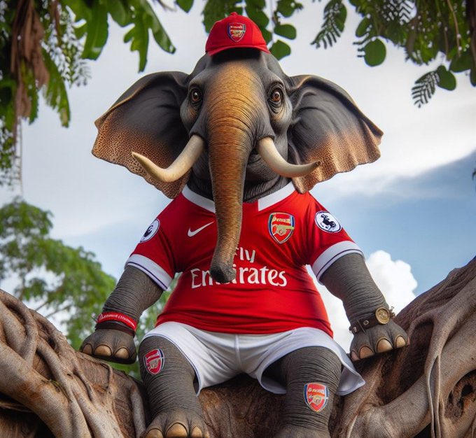 It’s extremely lonely at the top. #Gunners