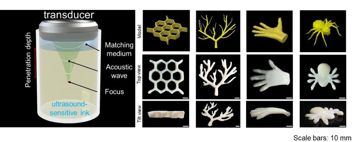 Through-tissue ultrasound 3D printing: NIH-funded researchers @yaojj02 and @shrikezhang have outlined a method in @Science to build biocompatible structures underneath multi-layered tissues. More here: go.nih.gov/llc4pG2 @DukeEngineering @brighamresearch @harvardmed @DukeU