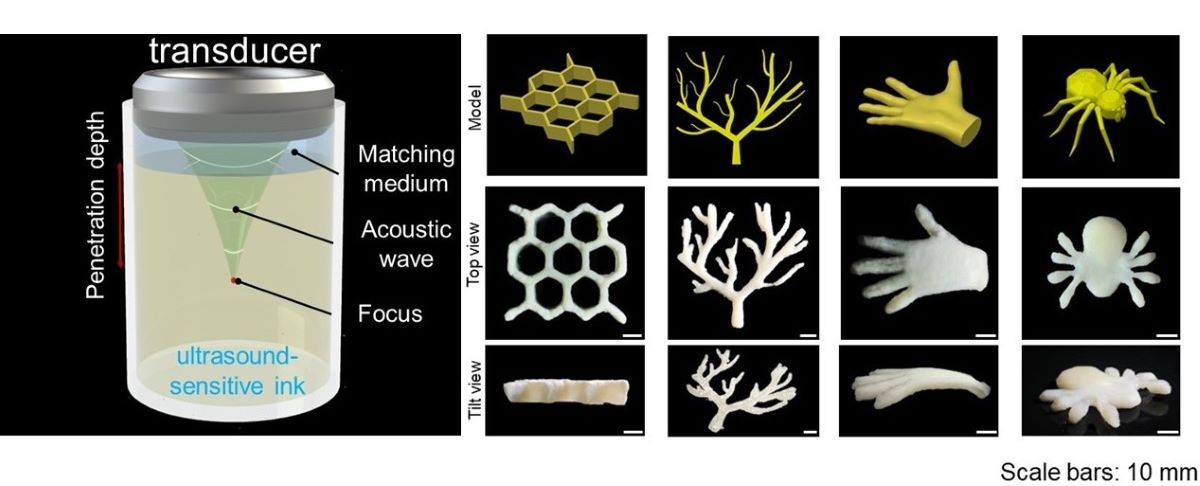NIBIB (@nibibgov) on Twitter photo Through-tissue ultrasound 3D printing: NIH-funded researchers <a href="/yaojj02/">Junjie Yao</a> and <a href="/shrikezhang/">Y. Shrike Zhang</a> have outlined a method in @Science to build biocompatible structures underneath multi-layered tissues. More here: go.nih.gov/llc4pG2
<a href="/DukeEngineering/">Duke Engineering</a> @brighamresearch <a href="/harvardmed/">Harvard Medical School</a> <a href="/DukeU/">Duke University</a> Through-tissue ultrasound 3D printing: NIH-funded researchers <a href="/yaojj02/">Junjie Yao</a> and <a href="/shrikezhang/">Y. Shrike Zhang</a> have outlined a method in @Science to build biocompatible structures underneath multi-layered tissues. More here: go.nih.gov/llc4pG2
<a href="/DukeEngineering/">Duke Engineering</a> @brighamresearch <a href="/harvardmed/">Harvard Medical School</a> <a href="/DukeU/">Duke University</a>