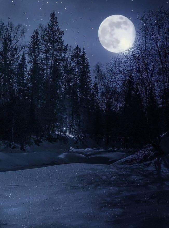 Nulla impedirà al sole di sorgere ancora, nemmeno la notte più buia. Perché oltre la nera cortina della notte c'è un'alba che ci aspetta. Khalil Gibran