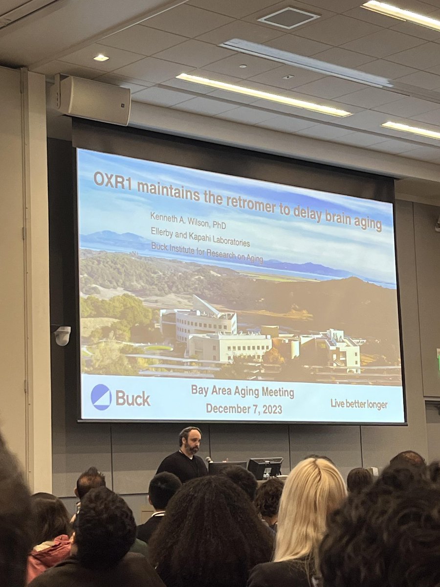 Buck Institute (@buckinstitute) on Twitter photo <a href="/_KAWilson_/">Kenny Wilson</a> presents his postdoctoral work from <a href="/KapahiLab/">Kapahi Lab</a> and Ellerby lab at #BAAM2023! Kenny's work on a gene that preserves the brain with age was accepted today for publication <a href="/NatureComms/">Nature Communications</a>! <a href="/_KAWilson_/">Kenny Wilson</a> presents his postdoctoral work from <a href="/KapahiLab/">Kapahi Lab</a> and Ellerby lab at #BAAM2023! Kenny's work on a gene that preserves the brain with age was accepted today for publication <a href="/NatureComms/">Nature Communications</a>!