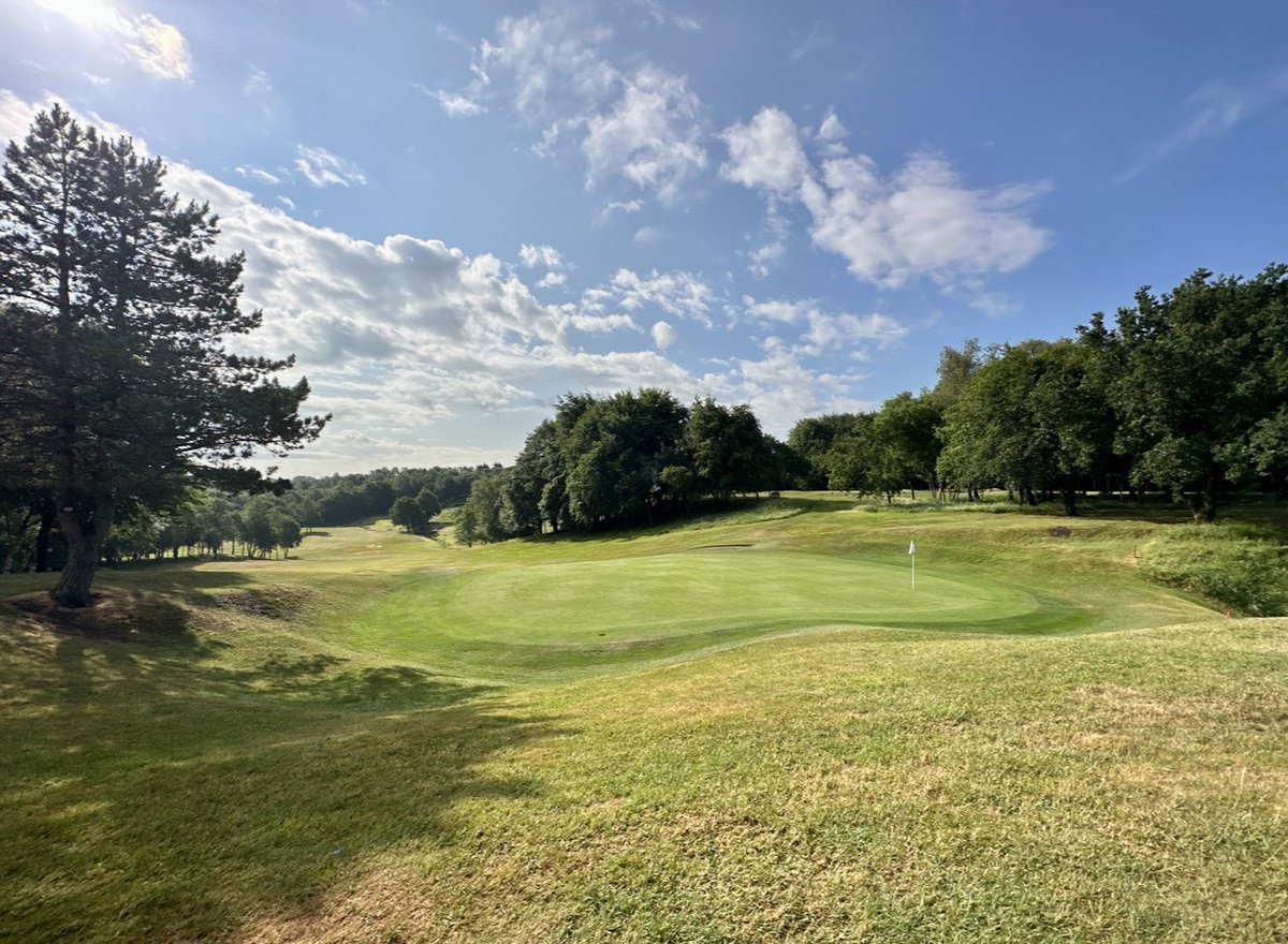 PrestonGolfClub's tweet photo. GREENKEEPER VACANCY 
First Assistant Position

Following recent internal promotions, an exciting opportunity has arisen at 1st Assistant Greenkeeper level. 

For further info/apply, please email Dan Ibison, Head Greenkeeper greens@prestongolfclub.com https://t.co/ud30DLs7B5