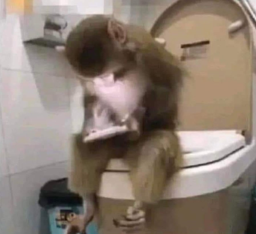 JessEspitia27's tweet photo. *Mi jefe buscándome por toda la oficina*

Yo en el baño viendo otra vez los 5 goles del América: https://t.co/H99nbrBMps