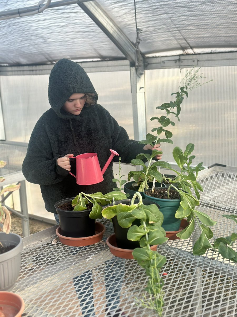 Our fantastic ROCKStars hosted a successful Plant Sale today, showcasing their dedication in growing and selling their own plants. A heartfelt thank you to all who donated and came to show their support!