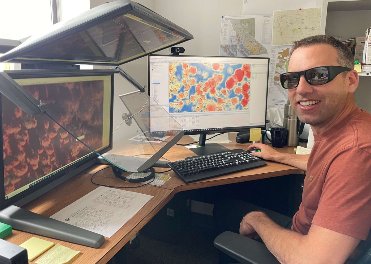 kelyntech's tweet photo. � News Alert! Lidar News published a Q&A interview with @ForsiteConsultants showcasing how it uses KELYN3D #PluraView monitors for 🌳 tree inventories using Lidar-based 3D Photogrammetry! Read the full story here: https://t.co/O2mIsz48po #tech #3DPhotogrammetry #Lidar #PluraView https://t.co/yDH3eJ4DwG