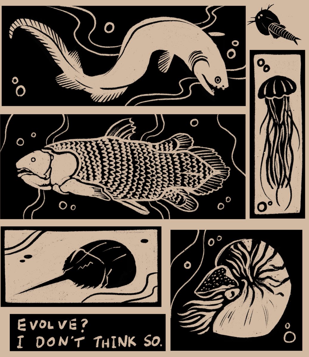 🌻 Rachel 🌻 tweet media