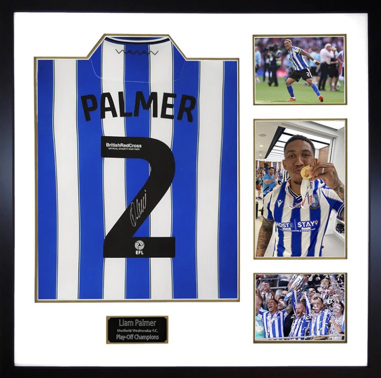 allison Palmer tweet media