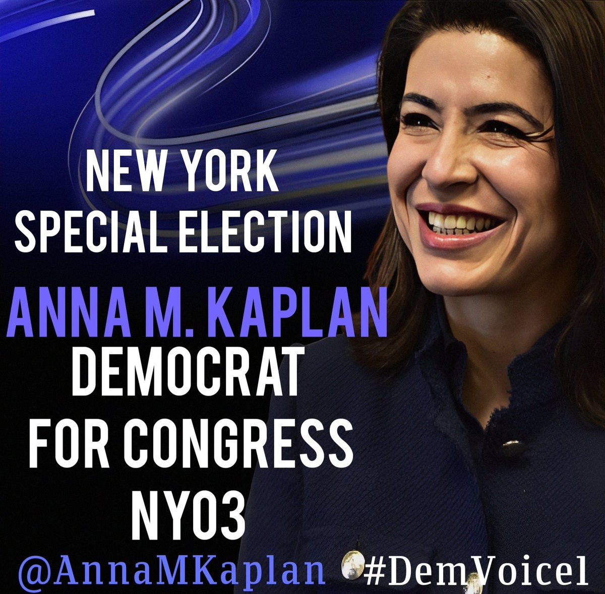 DemVoice1 Candidate Graphics tweet media