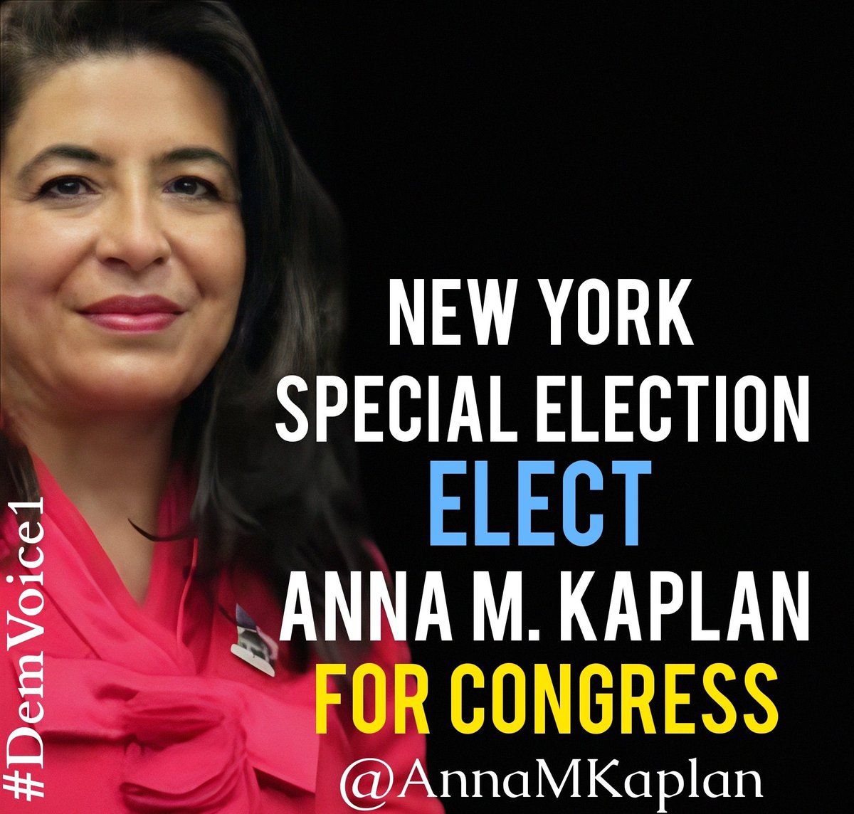 DemVoice1 Candidate Graphics tweet media