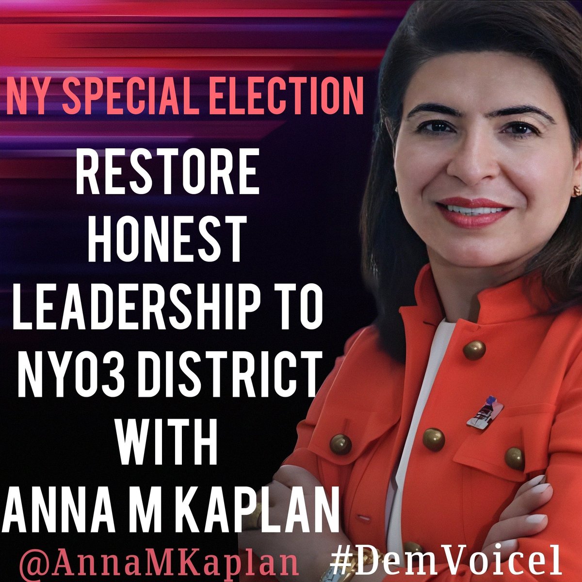 DemVoice1 Candidate Graphics tweet media