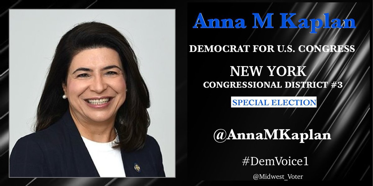 DemVoice1 Candidate Graphics tweet media