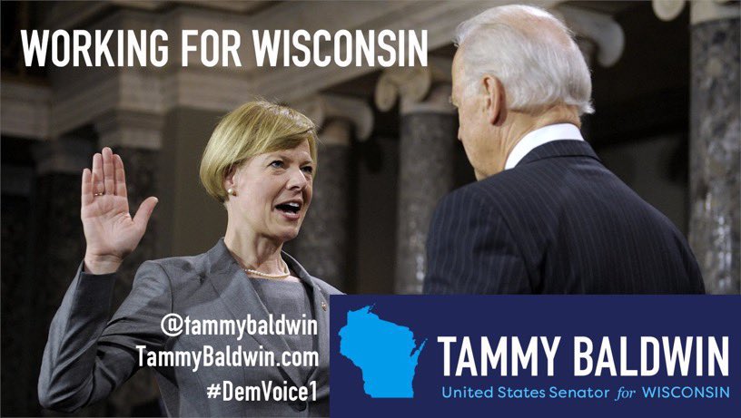 DemVoice1 Candidate Graphics tweet media