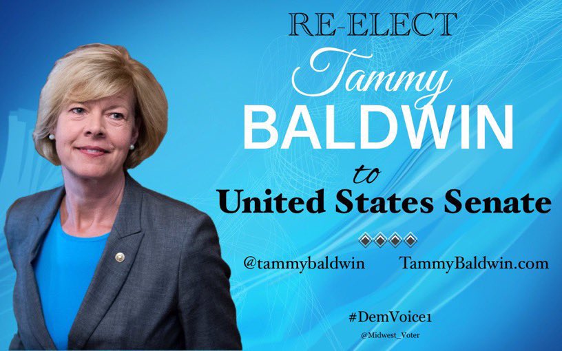DemVoice1 Candidate Graphics tweet media