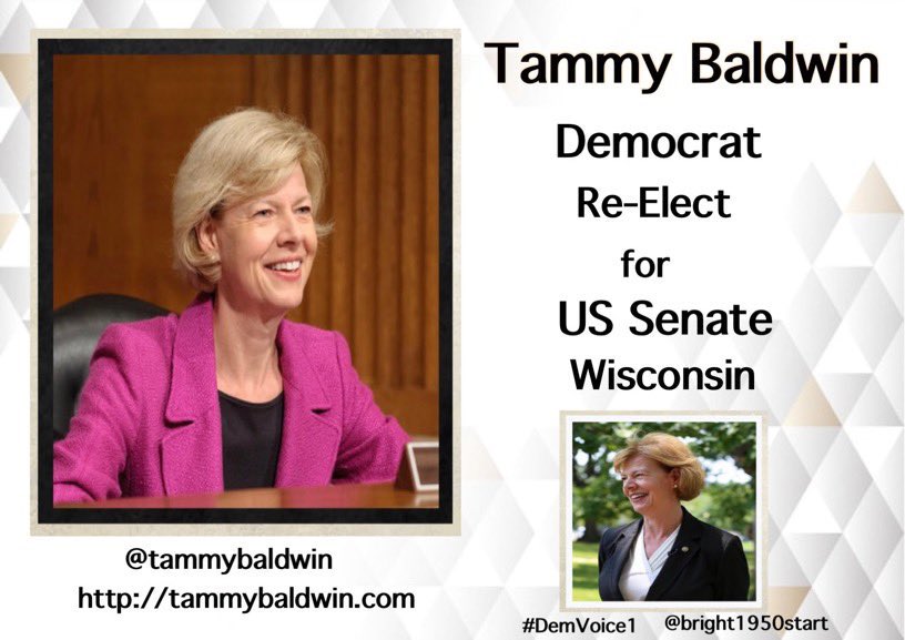 DemVoice1 Candidate Graphics tweet media