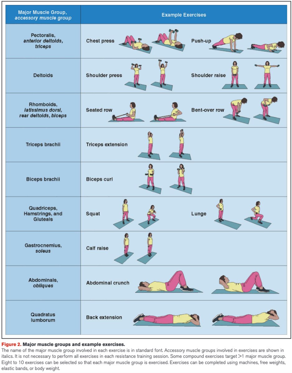 SeguraCardio's tweet photo. 📌#Resistance Exercise Training in 👥 w/ & Without Cardiovascular Disease: 2023 Update‼️
A Scientific 📝 From the @American_Heart
#CardioTwitter #CardioEd #PositionPaper #Exercise #CardiologiaPreventiva #CardioPrev https://t.co/pphTg09Sse