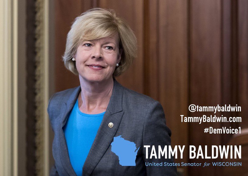 DemVoice1 Candidate Graphics tweet media