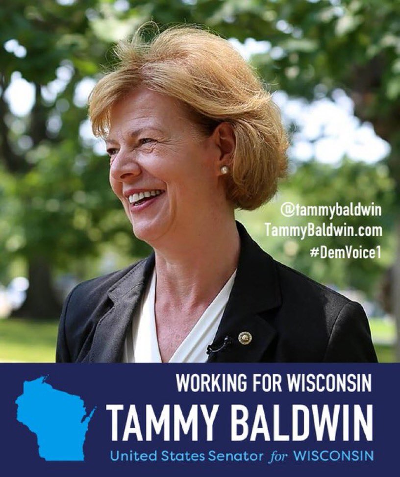 DemVoice1 Candidate Graphics tweet media