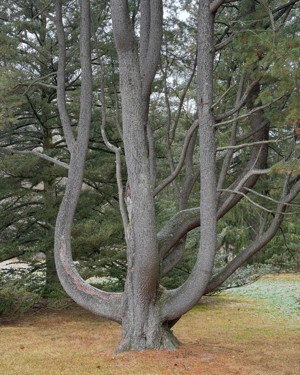 Bo Koltnow tweet media