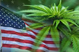 Republican Congressman Files New Bill To End Marijuana Prohibition In Legal States, Allow Interstate Commerce And Lift 280E Tax Blockade

🇺🇸 #cannabis 🌿

marijuanamoment.net/republican-con…