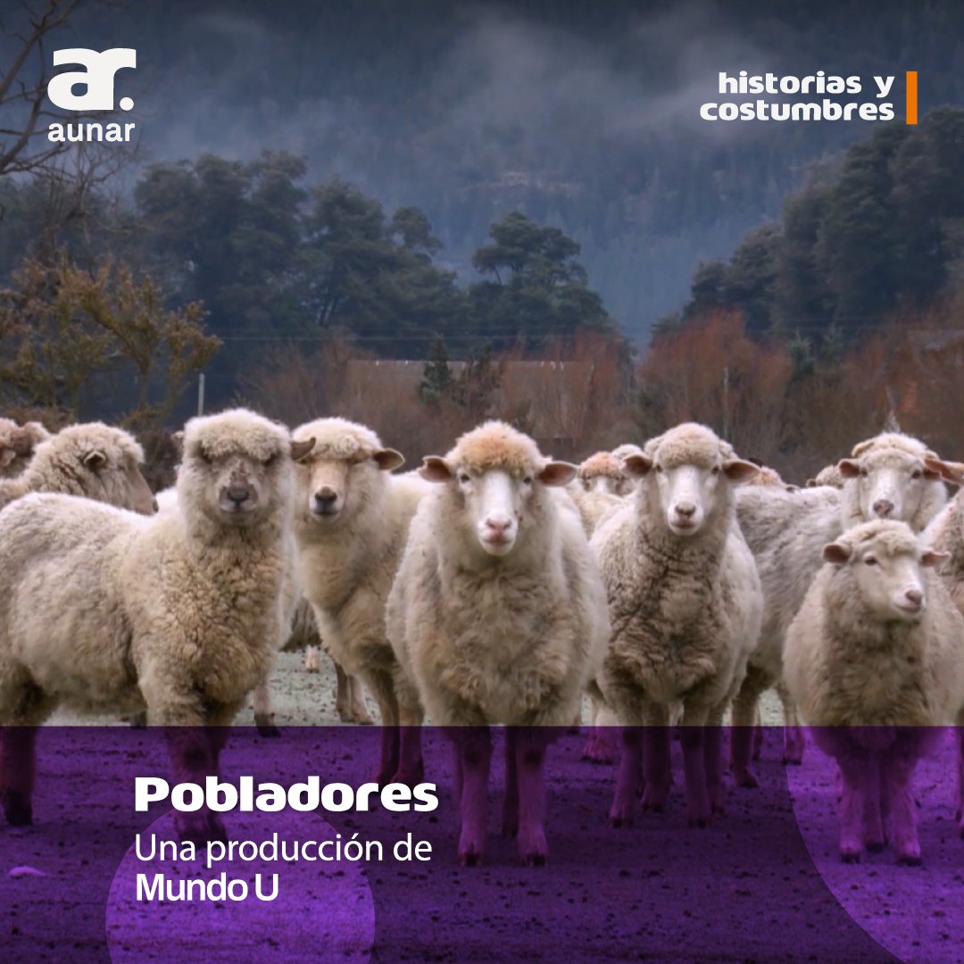 Te invitamos a ver la vida en un mundo donde el tiempo transcurre de manera diferente⏳👩‍🌾

Pobladores, una invitación a la realidad cotidiana de quienes viven en poblados desolados🏡🌿 

📆Sábado 09
⏰16:00

Una producción de <a href="/MundoU_ok/">Plataforma MundoU</a> en #Aunar, señal 22.3 de la <a href="/tdaargentina/">Televisión Digital Abierta</a>🇦🇷