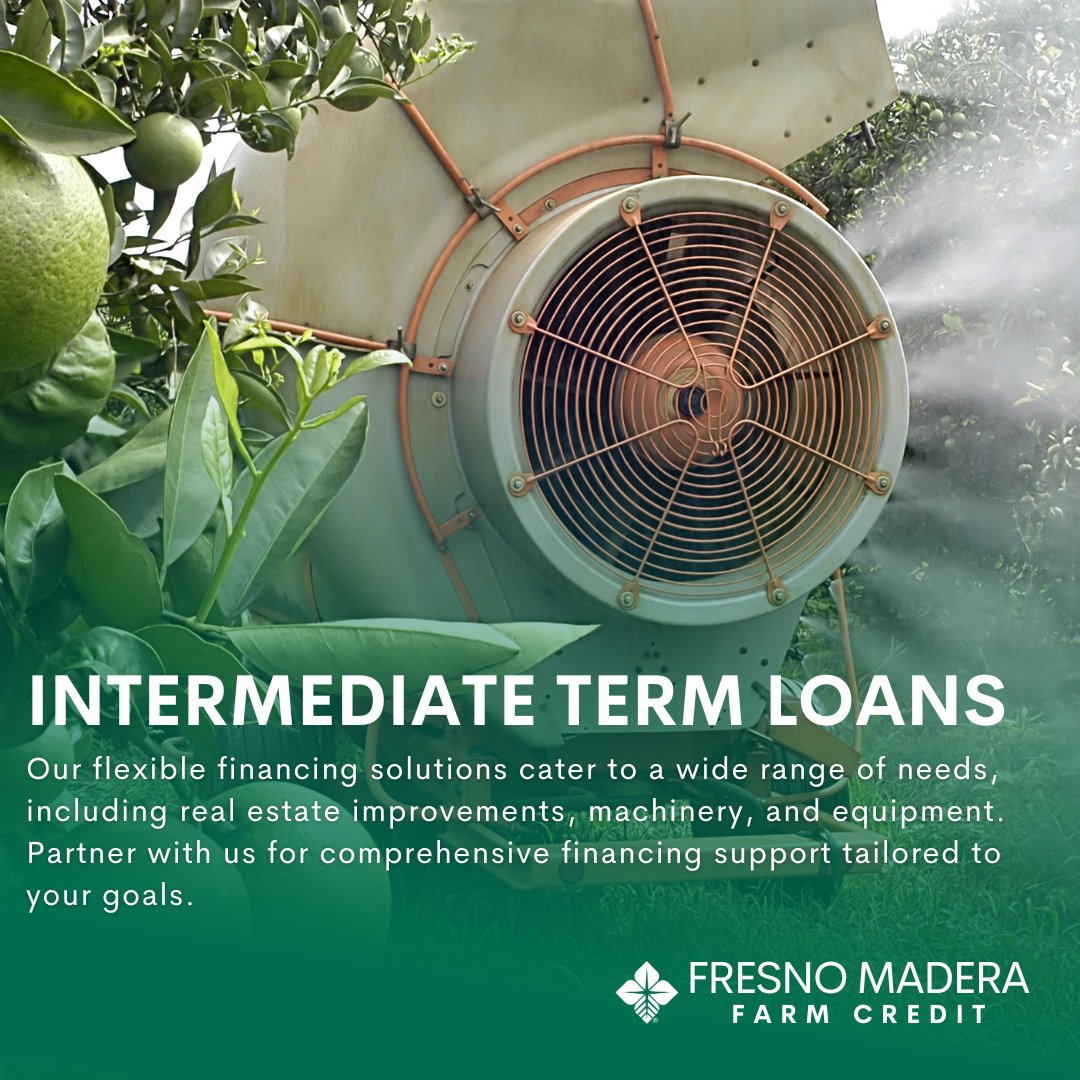 Seeking financing solutions tailored to your needs? Fresno Madera Farm Credit is here for you!👏 Get in touch with our friendly loan experts today for personalized guidance, or simply click the link below to learn more about our offerings.👇 fmfarmcredit.com/products-and-s… #FarmLoans