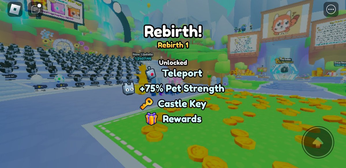 SimGamesChat_RB's tweet photo. My first rebirth on Pet Sim 99!!! https://t.co/BYmxdqduHe