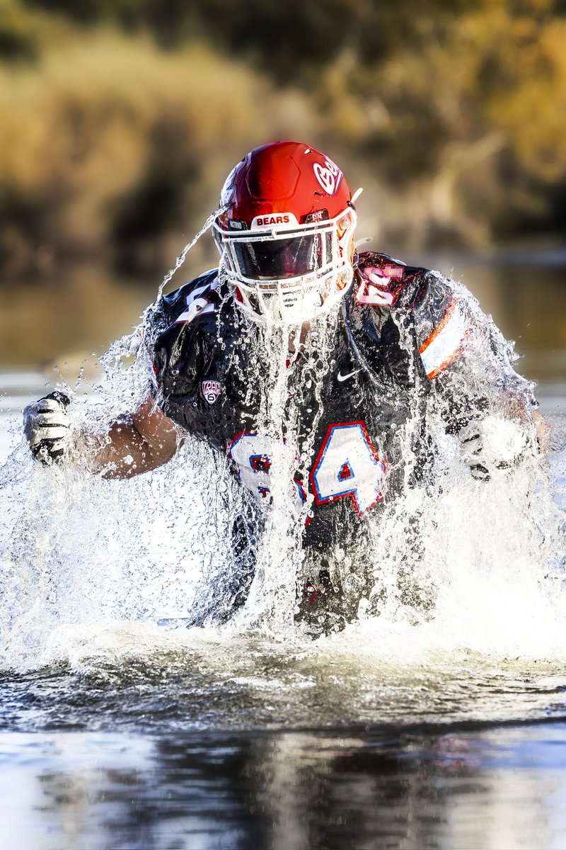 Kendra Primo tweet media