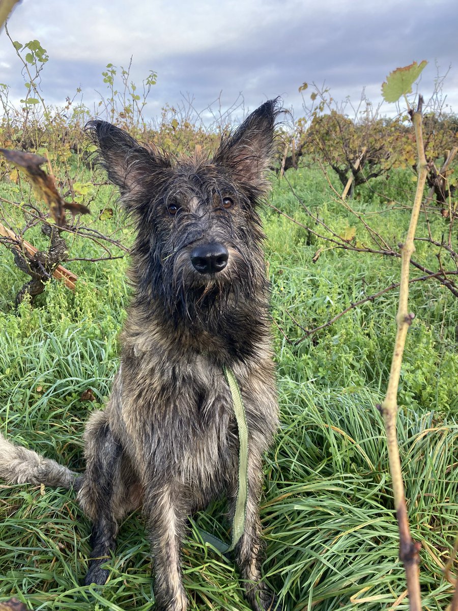 Corentin (@corentin__j) on Twitter photo 