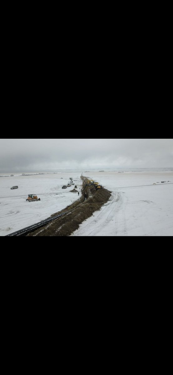 Mike Ector tweet media