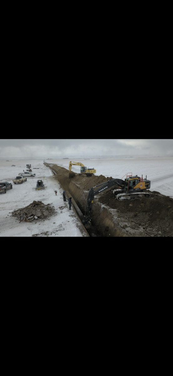 Mike Ector tweet media