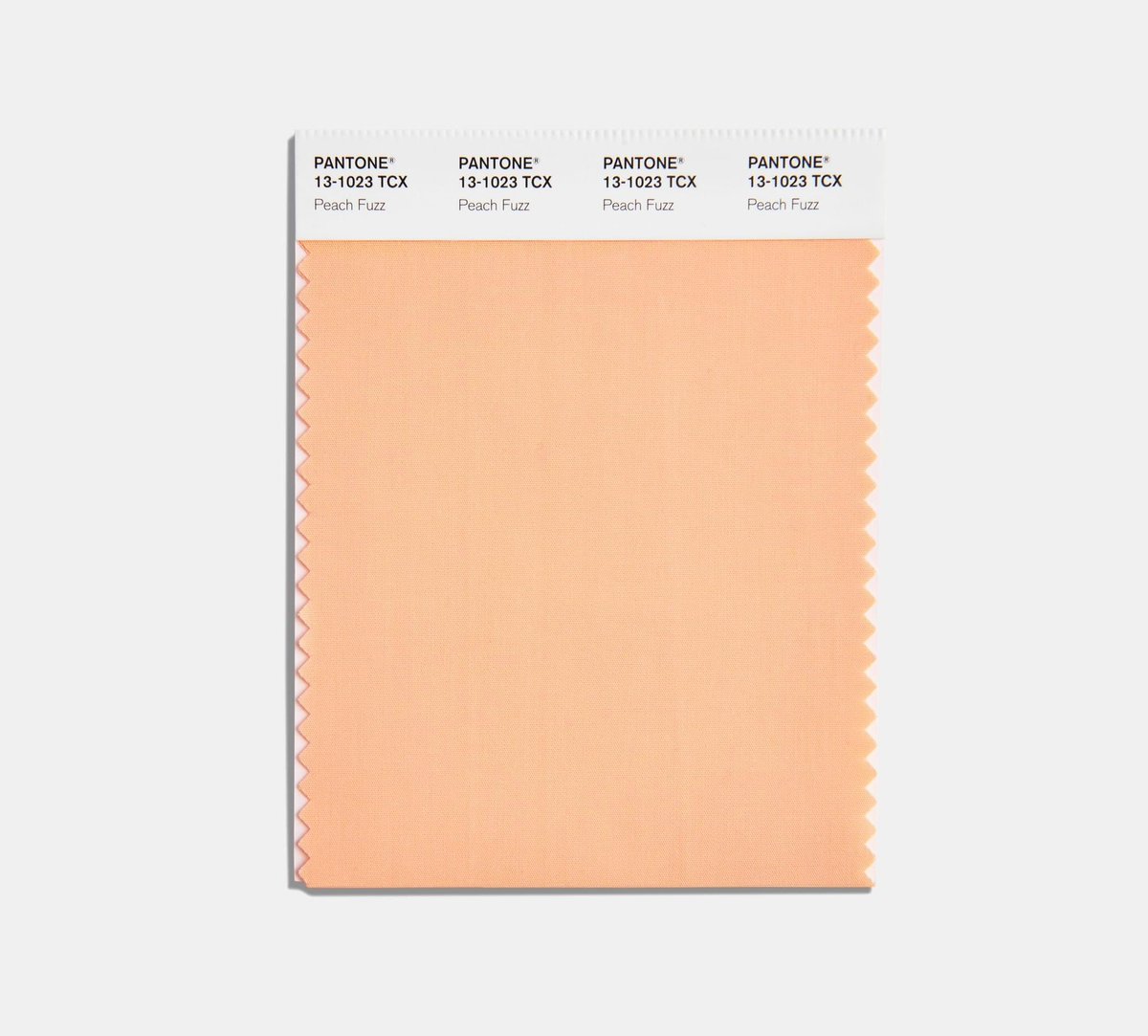 yourdreamday's tweet photo. @pantone color of the year is …. peach fuzz!! 🍑 How ironic, one of Kathy’s childhood nicknames along with peachy!! We can’t wait to see it incorporated into event designs in the coming years!

#weddingcolors #weddingcolor #pantone #pantone2024 #wedding #weddingtrends https://t.co/OgrJp831es
