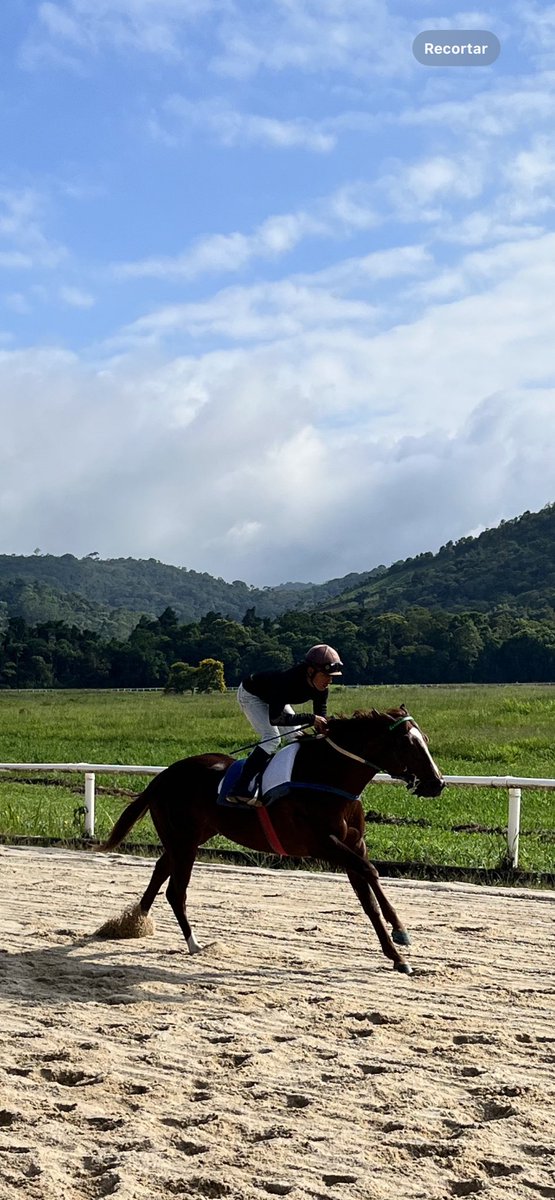 CSVET's tweet image. 