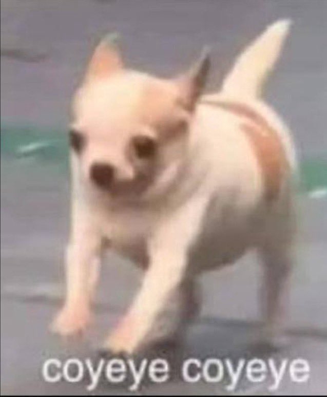 Yo cuando tiembla y la alarma 🚨 suena tarde 🫨 #sismo #temblor