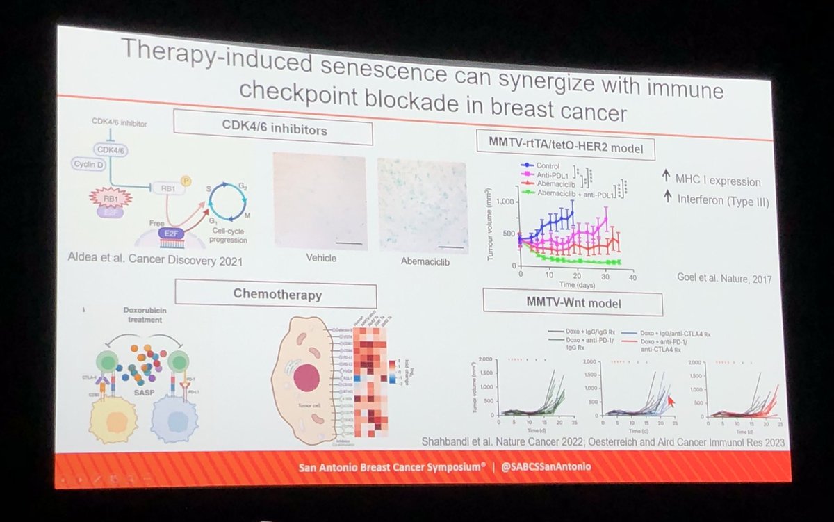 Dinara Ryspayeva tweet media
