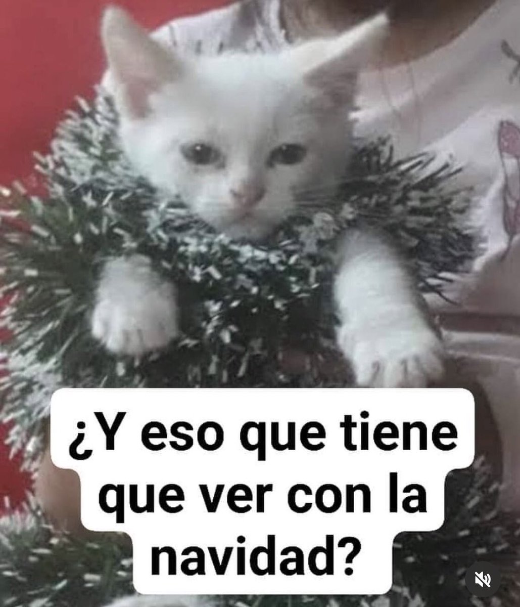 norelenita's tweet photo. Cuando tiembla en Diciembre: 

#sismo #temblor #AlertaSismica https://t.co/a2qme786Tk
