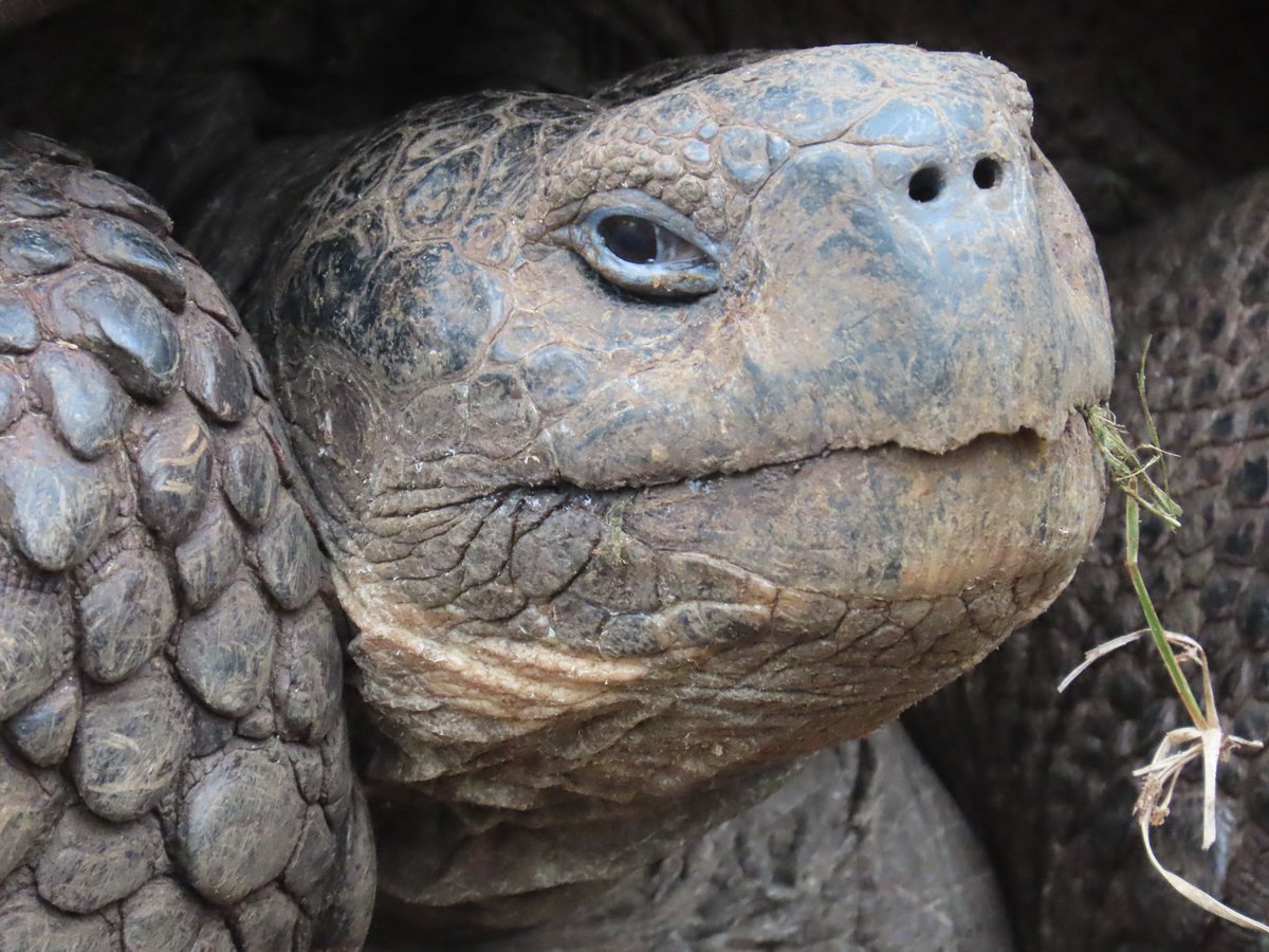 katemessner tweet media