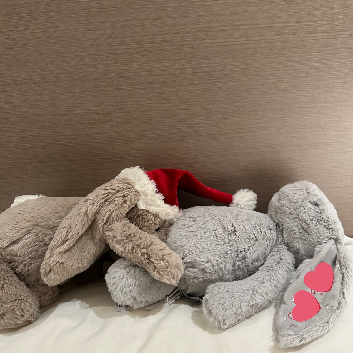 我和主人的小兔子🐇
我会和小兔子一直陪着你的！ #les