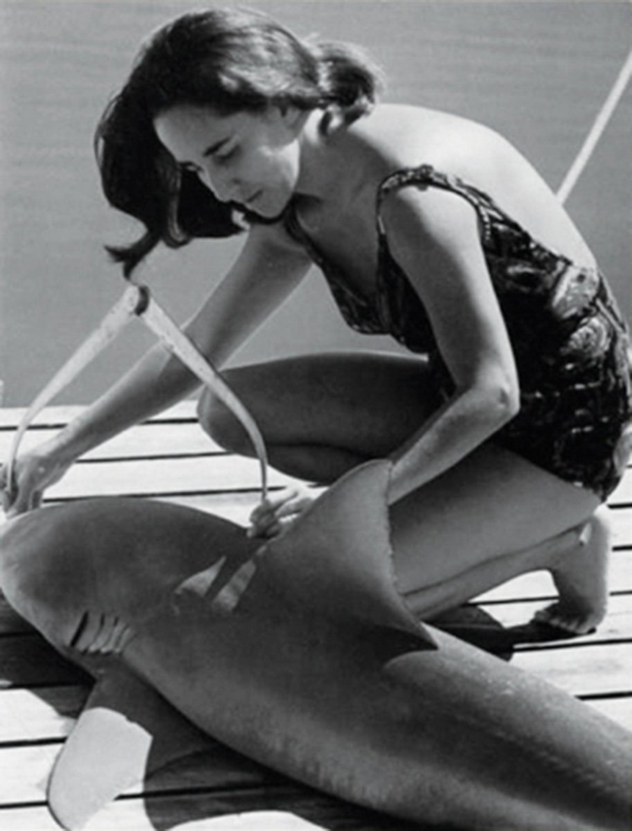 Changing Seas tweet media