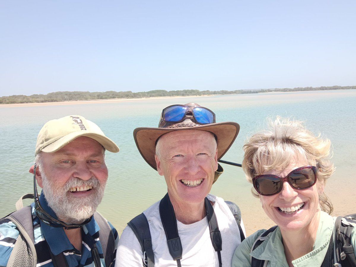 Sarah Thomas tweet media