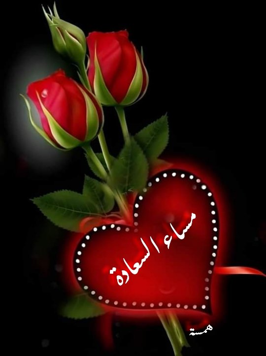 الصقر الذهبي (@alshrqawyshakr) on Twitter photo 