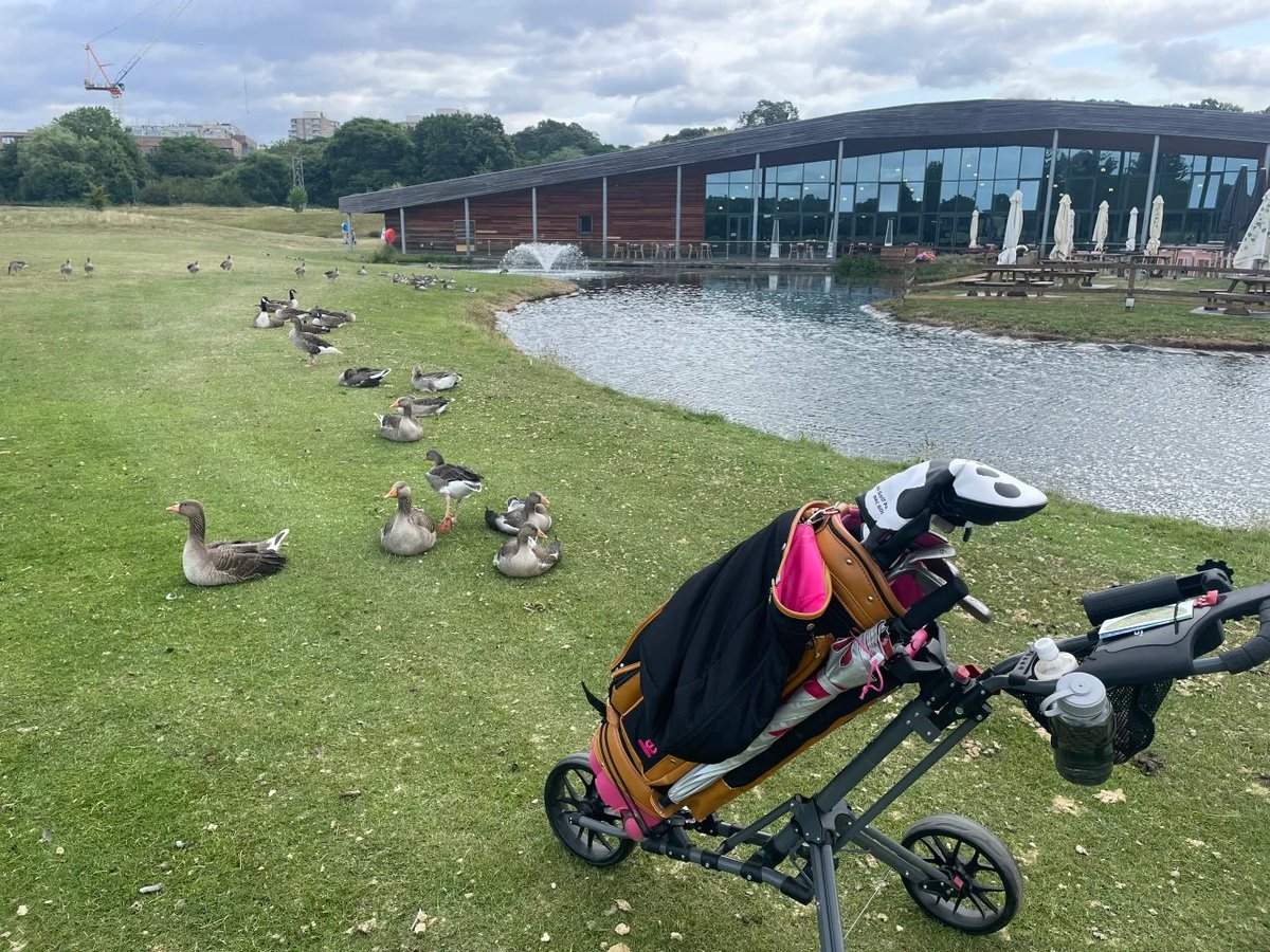 unclelongneck's tweet photo. Golf Again Golf Day 🏌️
Richmond park golf course https://t.co/eneuzhSCLE