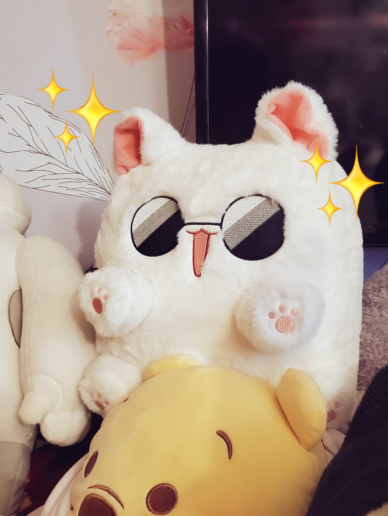 I'm now a proud owner of a Gojo cat ٩(๑>∀<๑)۶ Thank you SUS!!!! I'll hug him LOTS Also thanks to pimachu and matchapokki!! 💖🐇