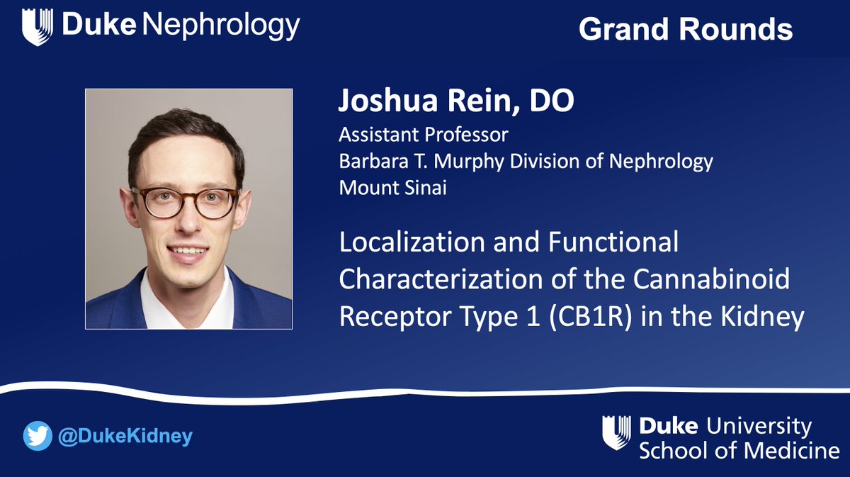 We are happy to welcome @ThepHunClub from @ISMMSKidney virtually to give #NephGR tomorrow 

Localization and Functional Characterization of the Cannabinoid Receptor Type 1 (CB1R) in the Kidney