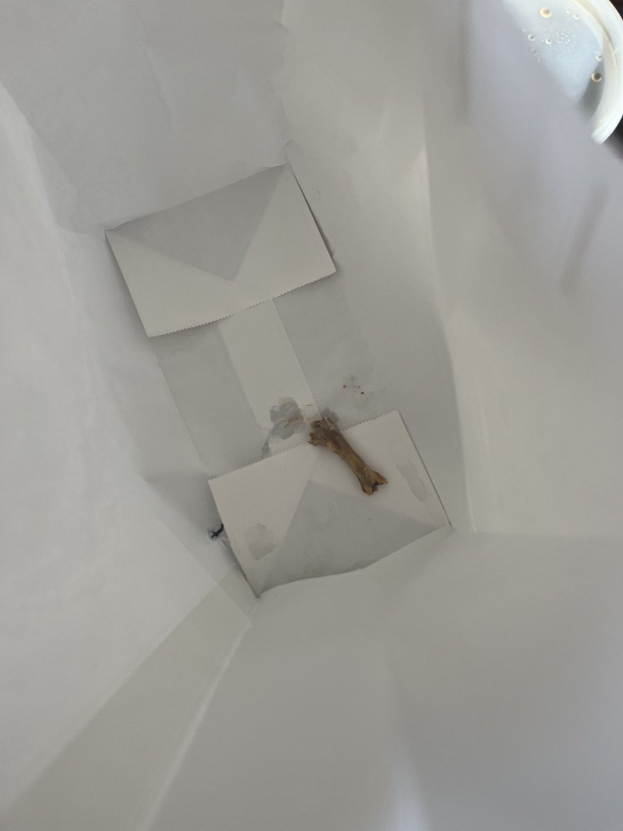 JLum's tweet photo. That feeling when you find an eaten chicken wing in your @UberEats delivery……

(Did I mention that I ordered veggie ramen?) https://t.co/ahDEIby8yV