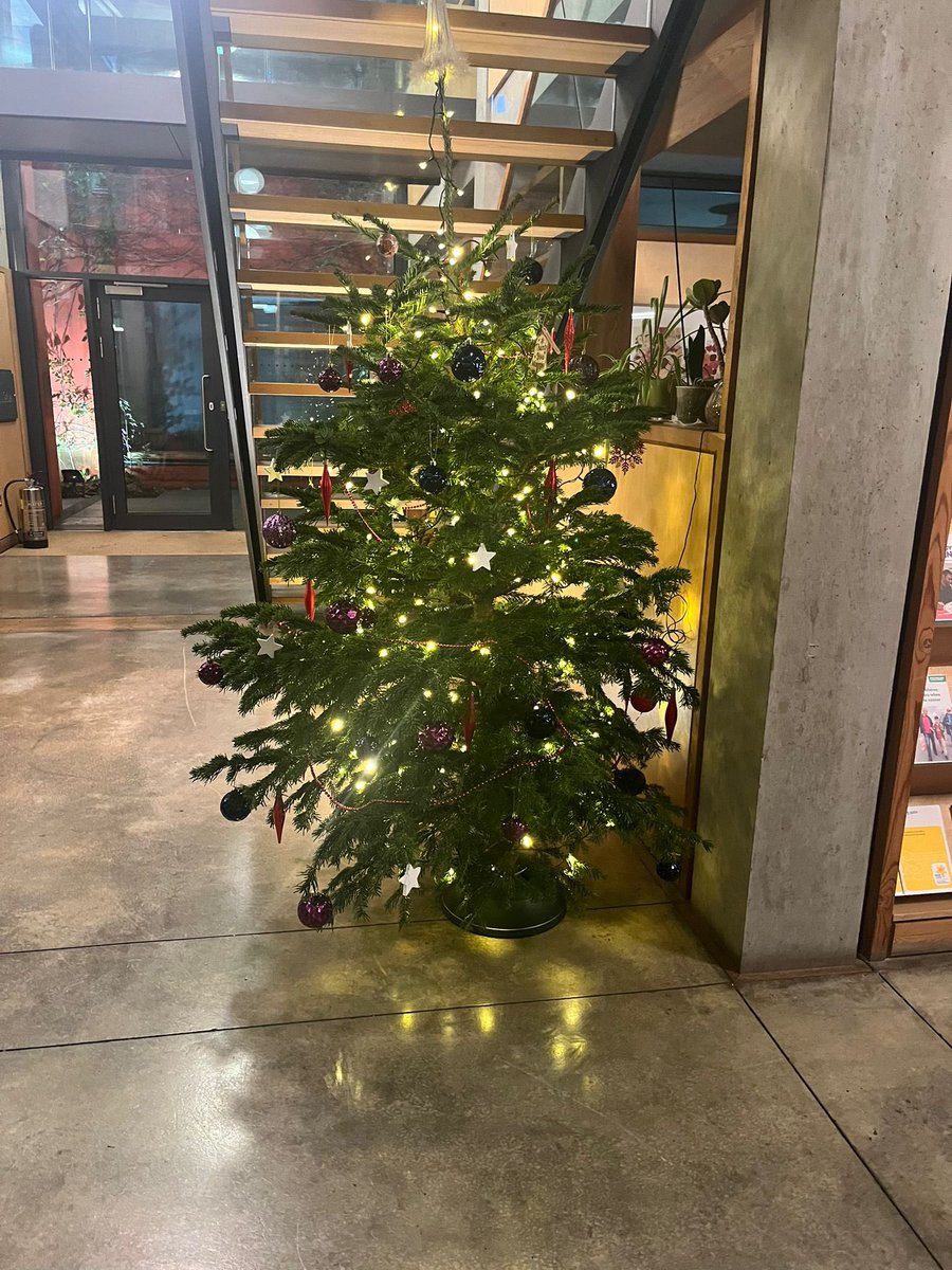 Thank you so much @W6gardencentre for our wonderful Christmas tree. You are so kind to donate this so our visitors have a lovely welcome into our centre over the coming weeks 🎄 @maggieswlondon